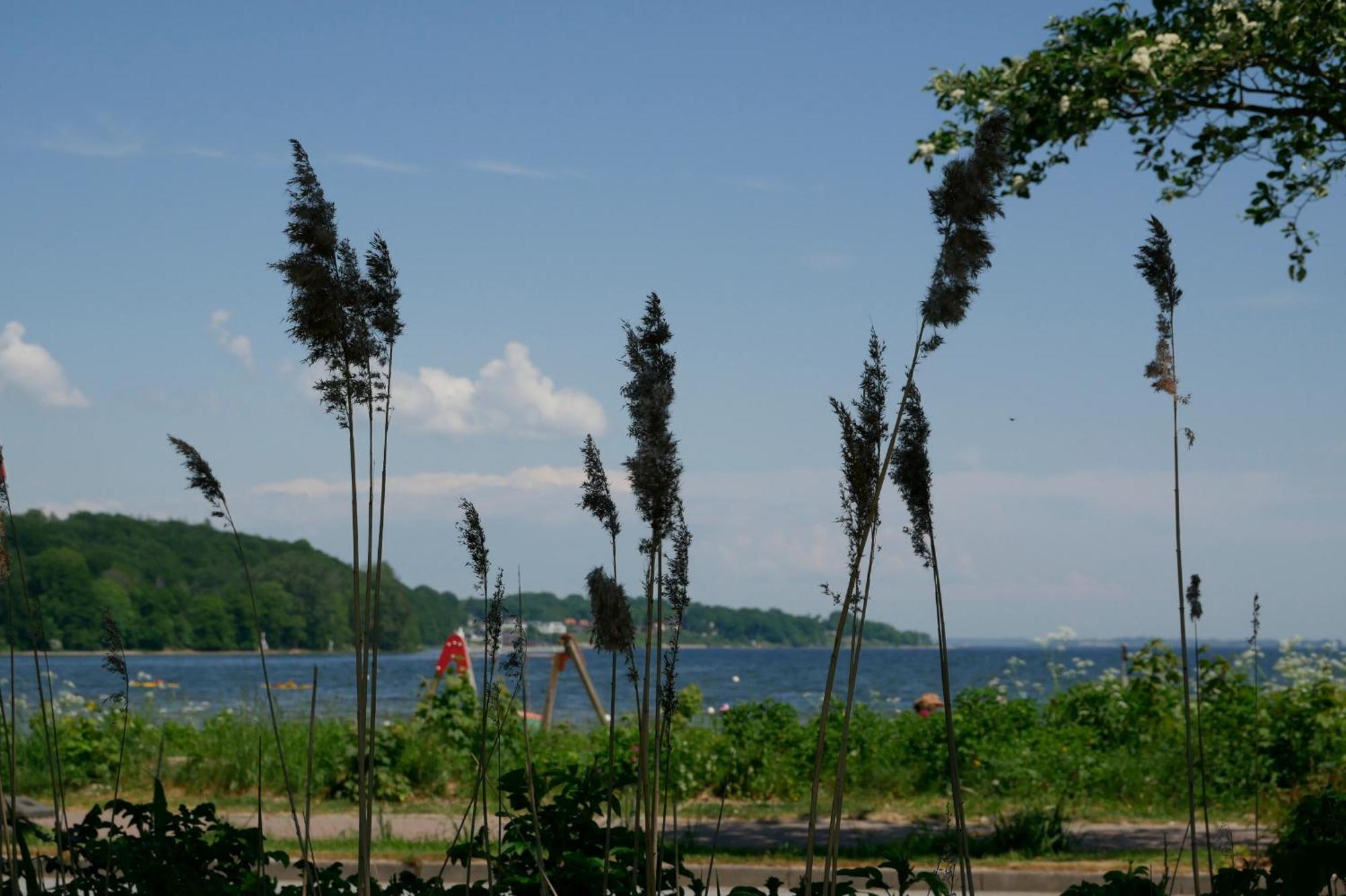 Ostsee, Wunderschoene Mit Meerblick *